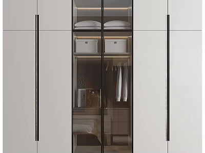 Modern Wardrobe Interior Design With Glass Doors Hanging Rods And Shelves 3d model