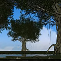 Tall Trees Surrounded by Pond Water Lilies Green Grass and Blue Sky