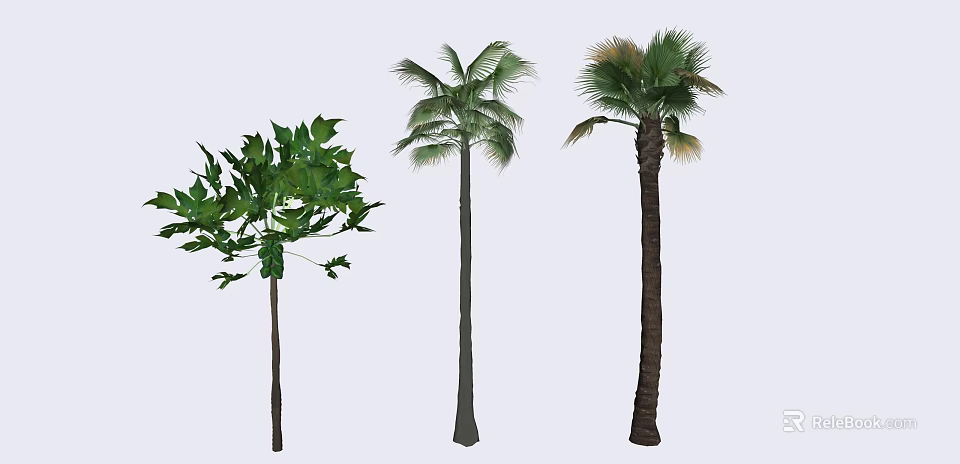 Different Arbor Tree Varieties With Tall Trunks And Lush Green Leaves 3d model 