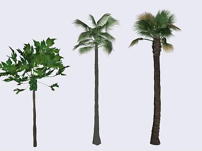 Different Arbor Tree Varieties With Tall Trunks And Lush Green Leaves 3d model