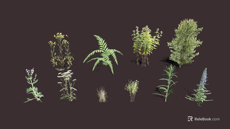 Various Herbaceous Plants Ferns And Diverse Greenery With Roots Displayed On Dark Background 3d model 