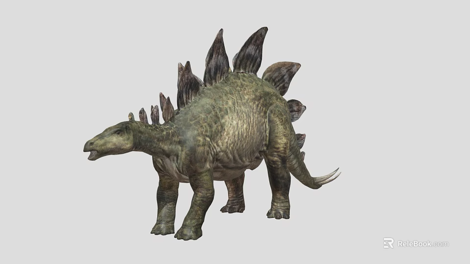Stegosaurus Dinosaur 3D Model With Back Plates And Tail Spikes In Standing Pose 3d model