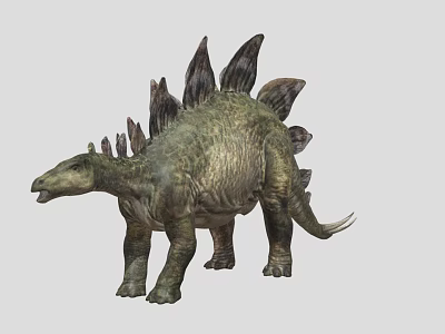 Stegosaurus Dinosaur 3D Model With Back Plates And Tail Spikes In Standing Pose 3d model