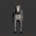 Modern zebra animals 3d model