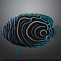 Colorful Tropical Fish With Neon Blue Stripes And Spiral Patterns On Dark Background