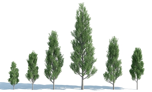 The Modern Tree 3d model