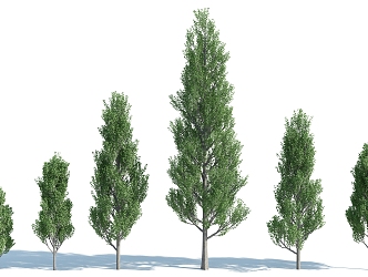 The Modern Tree 3d model