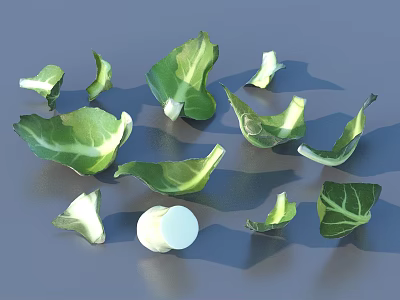 Fresh Organic Green Vegetable Leaves Featuring White Round Slices on Gray Background 3d model