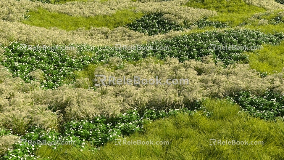 shrub tropical plant 3d model