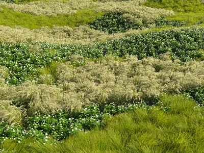 Lush Green and Light Yellow Green Shrubs with White Flowers in Natural Garden Landscape 3d model