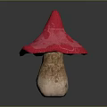 Vibrant Red Pink Mushroom with Broad Cap and Brown Stem Against Dark Background