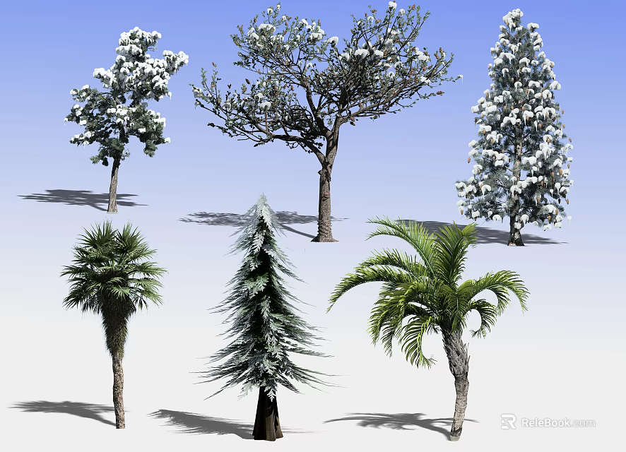 Various Types of Trees Including Flowering Coniferous and Palm Trees Against Blue Sky with Shadows 3d model 