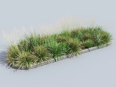 Various Green Grass Plants With Different Heights And Shapes In Rectangular Wooden Bordered Area 3d model