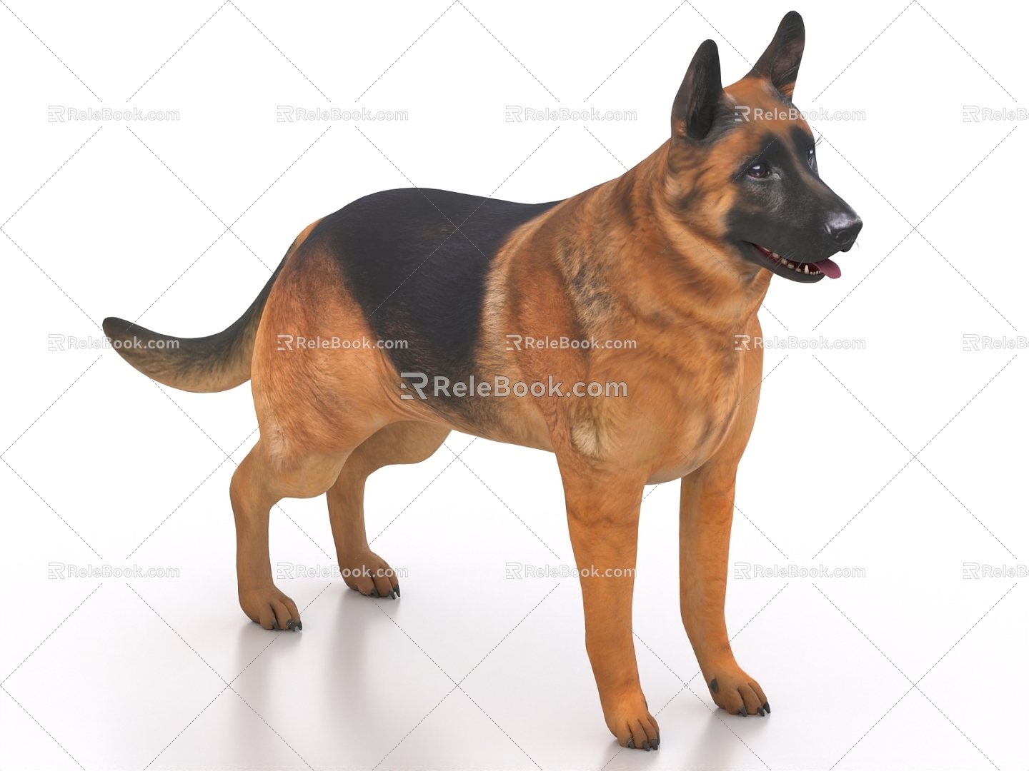 King Shepherd German Shepherd Pet Dog Animal 3d model