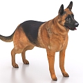 King Shepherd German Shepherd Pet Dog Animal 3d model