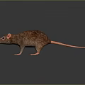 Cartoon Mouse Animated Mouse Grey Mouse Anime Mouse Cartoon Character 3d model