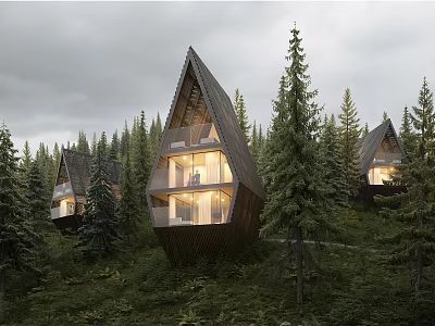Modern Forest Detached Villa With Triangular Roof And Wooden Exterior Among Pine Trees 3d model