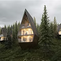 Modern Forest Detached Villa With Triangular Roof And Wooden Exterior Among Pine Trees