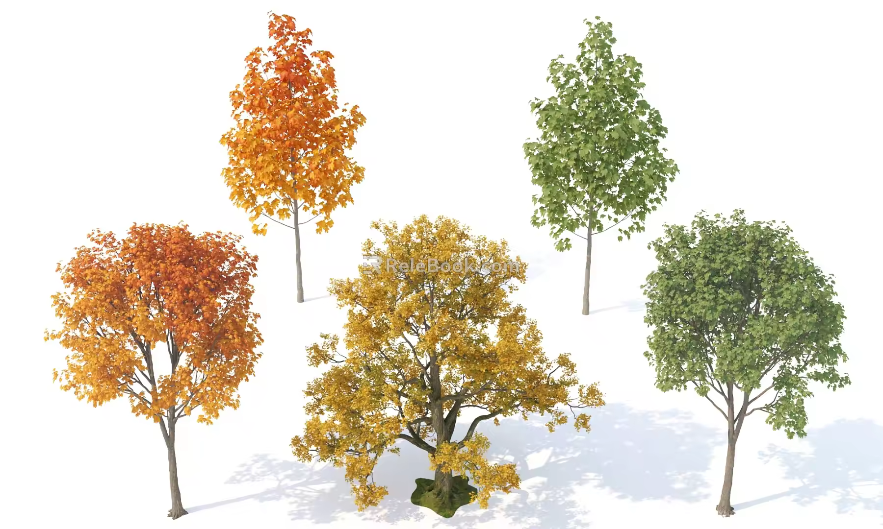 Big Trees Autumn Trees Landscape Trees Landscape Trees Garden Trees Courtyard Trees Summer Trees Tree Combination Park Trees Small Trees 3d model