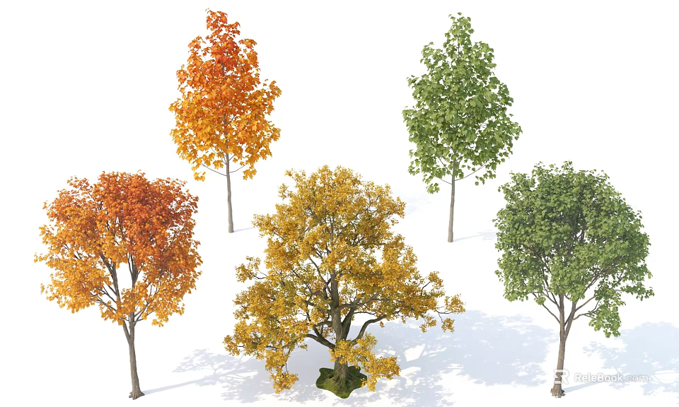 Deciduous Trees with Orange Yellow Green Foliage for Landscape Design 3d model 