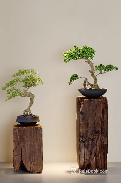 Two Decorative Bonsai Plants Placed on Wooden Stumps with Light Colored Wall Background 3d model 