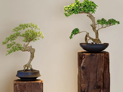 New Chinese Zen Pine Pot 3d model
