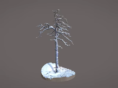 Wooden Tree Trunk Ornament With Snow Covered Stone Base 3d model