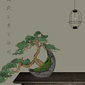 Traditional Chinese Pine Bonsai Plant in Stone Pot with Hanging Lantern and Calligraphy