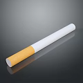 Cigarette Cigarette Filter Cigarette Realistic 3d model