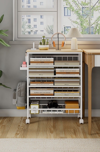 Bookshelf Storage Rack 3d model