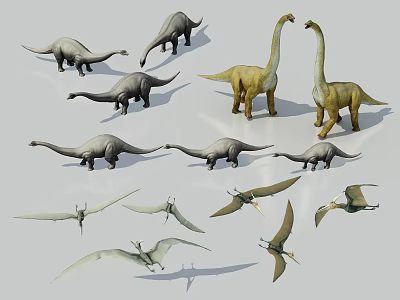 Different Types of Reptile Model Collection Featuring Long Necked Dinosaurs And Pterosaurs 3d model