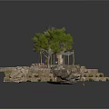 Outdoor Stone Slab Platform Scene With Canopied Structure Tree And Scattered Items