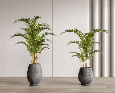 modern potted plant potted plant 3d model