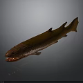 Brown Fish Model With Hair Like Body Texture And Open Mouth Showing Teeth