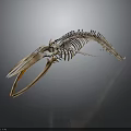 Detailed Whale Skeleton Showing Organ Structure Isolated on Dark Background