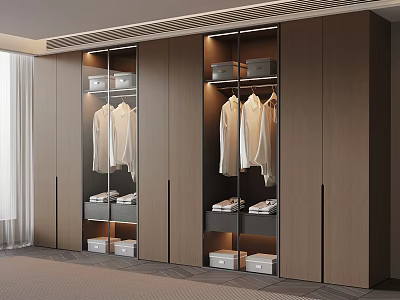 Modern Wardrobe Interior Design With Glass Doors Wooden Cabinets Hanging Shirts And Storage Boxes 3d model