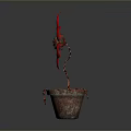 Red and Green Leafy Plant with Flower Shaped Leaves in Rustic Rusty Clay Pot