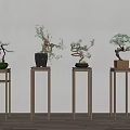 Minimalist Wooden Plant Stands Showcasing Bonsai Plants In Modern Home Interior
