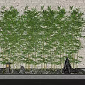 Bamboo Grove with White Brick Wall Stones and Lantern on Square Base
