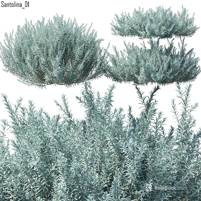 Green Foliage Decorative Ornament Collection For Natural Home Decor 3d model 