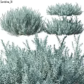 Green Foliage Decorative Ornament Collection For Natural Home Decor