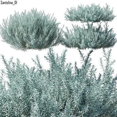 Green Foliage Decorative Ornament Collection For Natural Home Decor 3d model