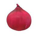 Fresh Red Onion Vegetable With Round Shape And Smooth Skin Texture