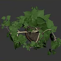 Lush Indoor Plant With Green Leaves And Stems In Brown Wooden Pot