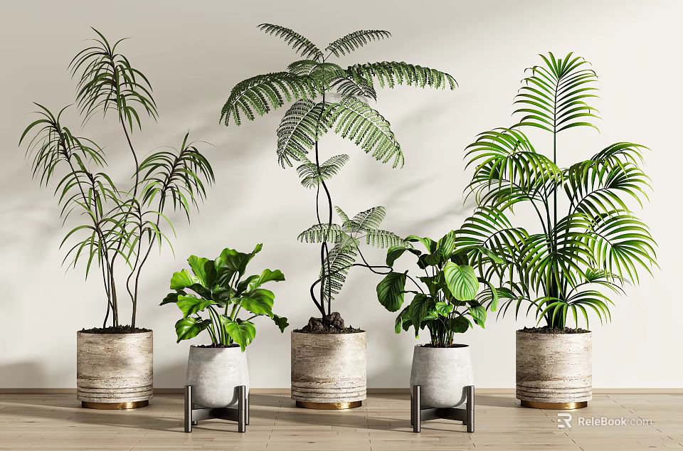 Various Leafy Green Indoor Potted Plants In Stylish Decorative Pots For Home Interior 3d model 