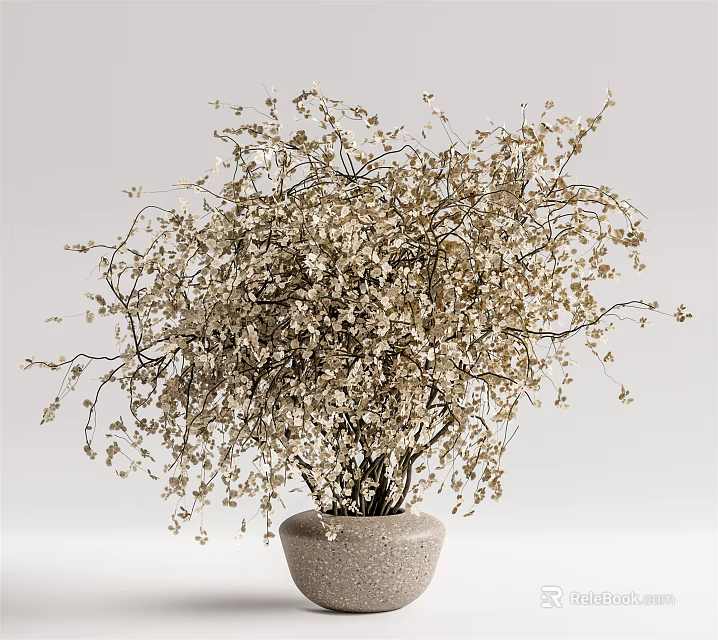Bonsai Plant in Ceramic Pot with Delicate Branches and Small White Flowers for Minimalist Decor 3d model 