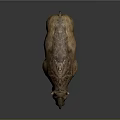 Realistic Brown Rhinoceros 3D Model With Textured Skin And Single Horn On Gray Background