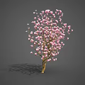 Vibrant Pink Flowers Blooming On Tree Branches Against Soft Gray Background 3d model