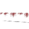 Red Hanging Vines With Cascading Trailing Stems And Soft Shadows 3d model