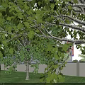 Modern School Building With Red White Exterior Tower Basketball Court And Surrounding Trees
